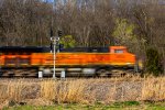 Veteran Signals on the Joe